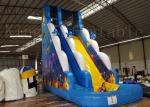 Children / Adult Blue Inflatable Water Slide With Two Lane 1 Year Warranty
