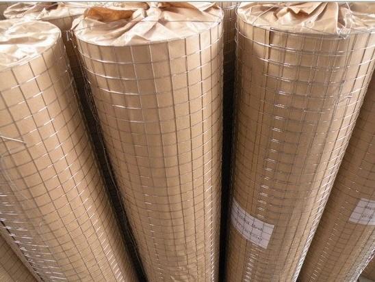 Quality hot dipped galvanized welded wire mesh for sale