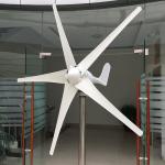 Multi Colors Small Horizontal Wind Turbine 48V 600W 1000W Horizontal Wind