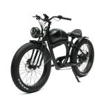 Customized Logo 48V XINYUN-MODEL-Y Retro Leisure Fat Wheel E-bike for Adult