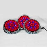 Cidly UFO 90W led grow lights