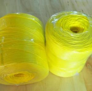 Wholesale UV Treated High Tenacity Polypropylene Twine , Poly Baler Twine Blue Red Color from china suppliers