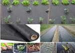 PP / PE Black Weed Control Membrane Keep The Water / Prevent Use Farm Chemical