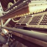 2500pcs recycle waste paper Egg Carton Making Machine With Drying Line