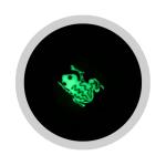 4 Inches Glass Smoking Pipes Green With Luminous Frog Spoon Pipe