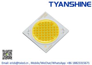 Wholesale 50Watt COB LED Module 2700K-6500K Tunable White 95CRI Smart Lighting LED COB from china suppliers