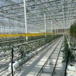 High Light Transmission Glass Greenhouse for Vegetables Return refunds Up to 30