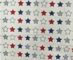 Plain T62/C33 180GSM Dyeing Canvas Fabric