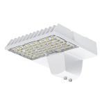 Outdoor 100 Watt IP65 LED Street Lighting Aluminium Modular