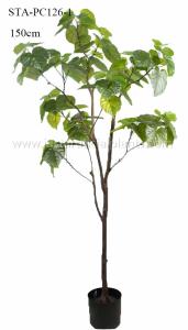 Wholesale Heart Shape Green Leaves Artificial Ficus Tree 120CM 150CM 180CM 210CM from china suppliers