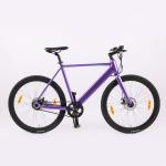 Urban Road Electric Bicycle with TRUCK Rear Drive 36V 250W Motor and Aluminum