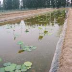 ASTM GRI-GM13 Standard Durable Black Geomembrane for Water Engineering and