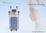 2-3cm fat reduction Cryolipolysis slimming machine / 4 working heads fat