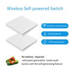 16A 433Mhz Wireless Kinetic Energy Switch 2 Way Push Button Waterproof Light