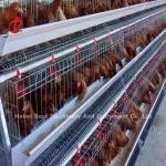 A Type 4 Tiers Silver Galvanized Layer Battery Cage System Adela