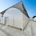 Multi-Span Agricultural Polycarbonate Sheet Greenhouse For Departs Tropical