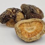 Mushroom Smell Dried Shiitake Mushroom Dices In Bag Dry Texture