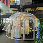 PC Clear Bubble Tents Geodesic PC Transparent Dome House For Homestay
