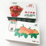 Pumpkin Freshness Retain Package Corrugated Plastic Carton Impact Resistance