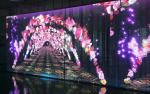 Indoor Advertising Video Wall P3.91-P7.82 Transparent Glass LED Screen Display