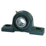 Customized UCP210 NTN Pillow Block Bearing Housing Mining Printing Machinery