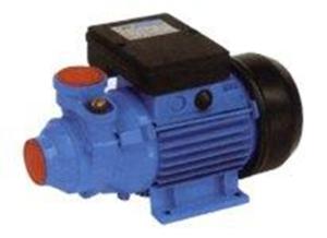 Wholesale High Pressure Vortex High Lift Water Pump , AC Small Electric Pump For Water from china suppliers