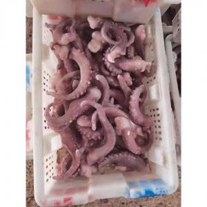 Wholesale For Thailand Fish Market A Grade IQF Frozen Indian Squid Tentacles Cut Wholes from china suppliers