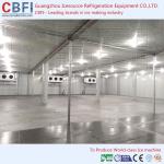 Customize Size cold Room Freezer , Cold Room Storage Full Automatic Control