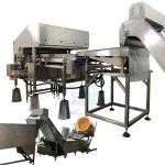SUS304 0.8KW Shrimp Deheading Machine Head Body Separator Automatic