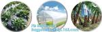 customized PE pallet cover bag, Waterproof pallet covers/ Poly Bags, Plastic