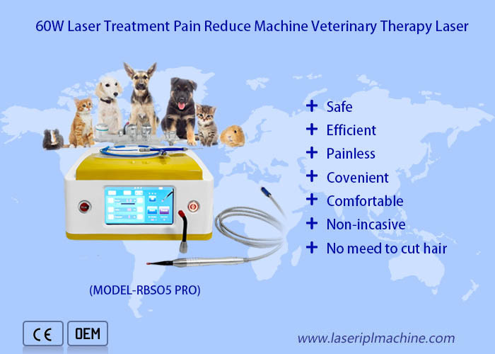 Portable Diode 980nm Laser Spider Vein Removal Machine / Vascular Laser Machine