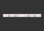 60 House RGBW 4 in 1 RGB LED Strips Lighting 19.2W , 12V Or 24V LED Strip Tape
