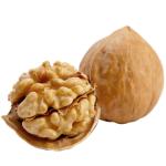 Wholesale Xinjiang 185 paper walnuts/33 walnuts/xin2 walnuts/xingfu walnuts with