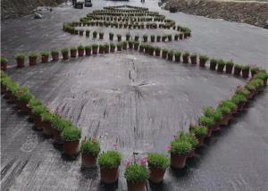 Wholesale 100gsm Black Weed Control Ground Cover PP Woven Fabric PP Woven Ground Cover from china suppliers