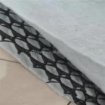 HDPE 3D Salt Barrier Drainage Geonet Geocomposite net for Landfill Road Garden