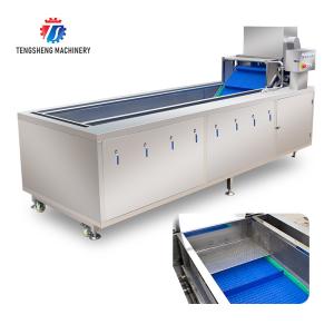 Wholesale 240KG Fruit and vegetable washing machine Vegetable vortex bubble washing machine Commercial ozone washing machine from china suppliers