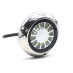 Dual Color IP68 12V 24V LED Swimming Pool Lights