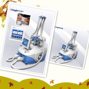 Wholesale White Blue Cryolipolysis Slimming Machine Portable With Medical Ce Approval from china suppliers