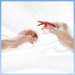 Transparent PE Disposable Food Prep Gloves For Cooking OEM