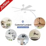 Quiet Led Modern Ceiling Fan With Light And Remote Control DC Motor