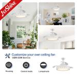 Affordable 42 Inch Ceiling Fan with Hidden Blades and Metal Lamp Body