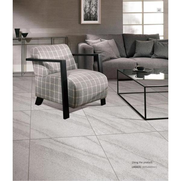 Quality 600x600mm Antibacterial Full Body Porcelain Tiles AAA Grade for sale