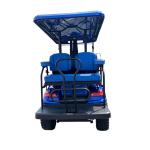72 Volt 48v EVE Cell Battery 200ah Electric Off Road Golf Cart With 2+2 And 4+2