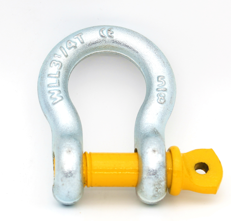ISO9001 Durable D Shackle Screw Pin Type Heavy Duty Stainless Steel