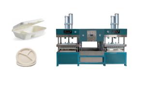 Wholesale Biodegradable Pulp Molded Cup Lid Machine from china suppliers