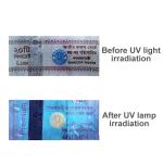Anti-counterfeit label by fluorescent light or UV light Security Label
