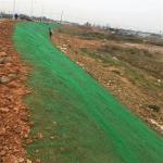 3D Geomat for Slope Protection and Erosion Control 14mm Thickness HDPE Material