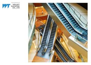 Wholesale 800mm Step Width Shopping Mall Escalator With Aluminum Alloy Die Cast Material from china suppliers