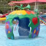 Customized Colorful Carp Spray Aqua Park Equipment For Children / Kids Fun in