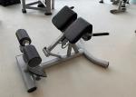 127x94x97cm Commercial Grade Gym Equipment Back Extension Roman Chair Machine